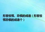 形容驚慌、恐懼的成語(yǔ)（形容驚慌恐懼的成語(yǔ)個(gè)）