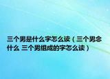 三個男是什么字怎么讀（三個男念什么 三個男組成的字怎么讀）