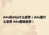 ddu和ddp什么意思（ddu是什么意思 ddu是啥意思）