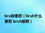 bru啥意思（bruh什么意思 bruh解釋）