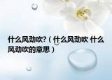 什么風(fēng)勁吹?（什么風(fēng)勁吹 什么風(fēng)勁吹的意思）