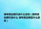 鋼琴黑白鍵代表什么音符（鋼琴黑白鍵代表什么 鋼琴黑白鍵是什么意思）