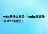 wba是什么意思（wnba代表什么 wnba簡述）