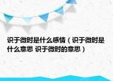 識于微時(shí)是什么感情（識于微時(shí)是什么意思 識于微時(shí)的意思）