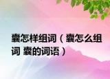 囊怎樣組詞（囊怎么組詞 囊的詞語）