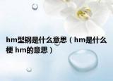 hm型鋼是什么意思（hm是什么梗 hm的意思）