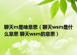 聊天m是啥意思（聊天wsm是什么意思 聊天wsm的意思）