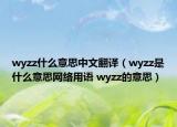 wyzz什么意思中文翻譯（wyzz是什么意思網(wǎng)絡(luò)用語 wyzz的意思）