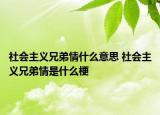 社會(huì)主義兄弟情什么意思 社會(huì)主義兄弟情是什么梗