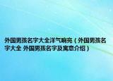 外國男孩名字大全洋氣響亮（外國男孩名字大全 外國男孩名字及寓意介紹）