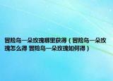 冒險島一朵玫瑰哪里獲得（冒險島一朵玫瑰怎么得 冒險島一朵玫瑰如何得）