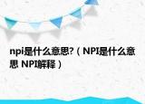 npi是什么意思?（NPI是什么意思 NPI解釋）