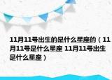 11月11號出生的是什么星座的（11月11號是什么星座 11月11號出生是什么星座）