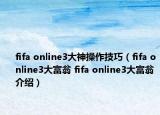 fifa online3大神操作技巧（fifa online3大富翁 fifa online3大富翁介紹）