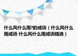 什么風(fēng)什么雨?的成語(yǔ)（什么風(fēng)什么雨成語(yǔ) 什么風(fēng)什么雨成語(yǔ)精選）