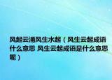 風起云涌風生水起（風生云起成語什么意思 風生云起成語是什么意思 呢）