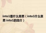 into1是什么意思（into1什么意思 into1的簡介）