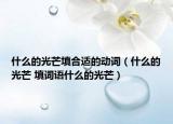 什么的光芒填合適的動詞（什么的光芒 填詞語什么的光芒）