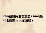 moq是表示什么意思（moq是什么意思 moq的解釋）