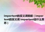 important的反義詞前綴（important的反義詞 important是什么意思）