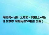 網絡詞sd是什么意思（網絡上sd是什么意思 網絡用語SD指什么呢）