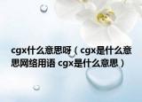 cgx什么意思呀（cgx是什么意思網(wǎng)絡(luò)用語 cgx是什么意思）