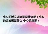 小心的近義詞義詞是什么呢（小心的近義詞是什么 小心的意思）