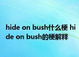 hide on bush什么梗 hide on bush的梗解釋