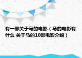 有一部關于馬的電影（馬的電影有什么 關于馬的10部電影介紹）