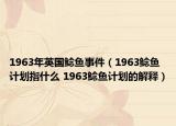 1963年英國鯰魚事件（1963鯰魚計劃指什么 1963鯰魚計劃的解釋）