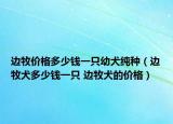 邊牧價格多少錢一只幼犬純種（邊牧犬多少錢一只 邊牧犬的價格）