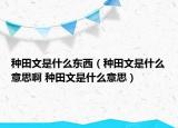 種田文是什么東西（種田文是什么意思啊 種田文是什么意思）