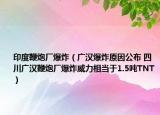 印度鞭炮廠爆炸（廣漢爆炸原因公布 四川廣漢鞭炮廠爆炸威力相當(dāng)于1.5噸TNT）