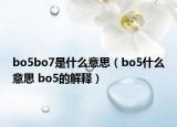 bo5bo7是什么意思（bo5什么意思 bo5的解釋）