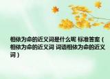 相依為命的近義詞是什么呢 標(biāo)準(zhǔn)答案（相依為命的近義詞 詞語相依為命的近義詞）