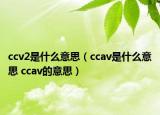 ccv2是什么意思（ccav是什么意思 ccav的意思）