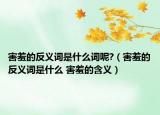 害羞的反義詞是什么詞呢?（害羞的反義詞是什么 害羞的含義）