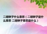 二胡卵子什么意思（二胡卵子是什么意思 二胡卵子意思是什么）