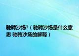 馳騁沙場?（馳騁沙場是什么意思 馳騁沙場的解釋）