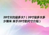 20寸大約是多大?（20寸是多大多少厘米 關(guān)于20寸的尺寸介紹）