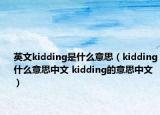 英文kidding是什么意思（kidding什么意思中文 kidding的意思中文）