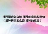 播種拼音怎么讀 播種的意思和造句（播種拼音怎么讀 播種的意思）