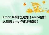 amor fati什么意思（amor是什么意思 amor的幾種解釋）