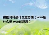 德國骨科是什么意思梗（wsn是什么梗 wsn的意思）