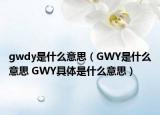 gwdy是什么意思（GWY是什么意思 GWY具體是什么意思）