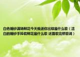 白色婚紗滿場(chǎng)鮮花今天我送你出嫁是什么歌（潔白的婚紗手捧著鮮花是什么歌 這首歌完整歌詞）