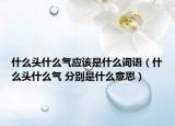 什么頭什么氣應(yīng)該是什么詞語（什么頭什么氣 分別是什么意思）