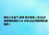 網名大全霸氣 超拽 高冷簡單（名QQ分組超拽傷感稱大全 好聽QQ分組超拽傷感精選）