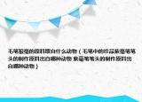 毛筆狼毫的原料取自什么動物（毛筆中的珍品紫毫筆筆頭的制作原料出自哪種動物 紫毫筆筆頭的制作原料出自哪種動物）