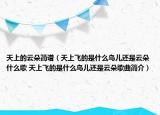 天上的云朵簡譜（天上飛的是什么鳥兒還是云朵什么歌 天上飛的是什么鳥兒還是云朵歌曲簡介）